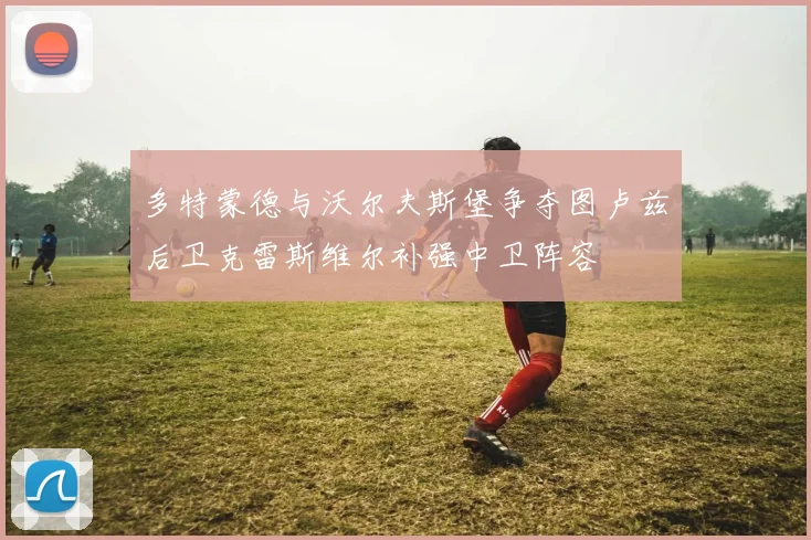 多特蒙德与沃尔夫斯堡争夺图卢兹后卫克雷斯维尔补强中卫阵容