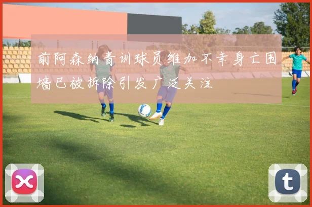 前阿森纳青训球员维加不幸身亡围墙已被拆除引发广泛关注