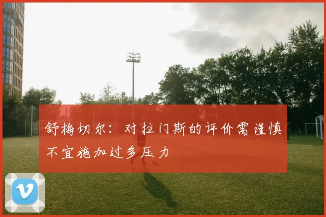 舒梅切尔：对拉门斯的评价需谨慎不宜施加过多压力
