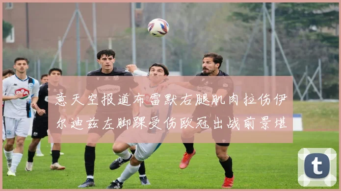 意天空报道布雷默右腿肌肉拉伤伊尔迪兹左脚踝受伤欧冠出战前景堪忧