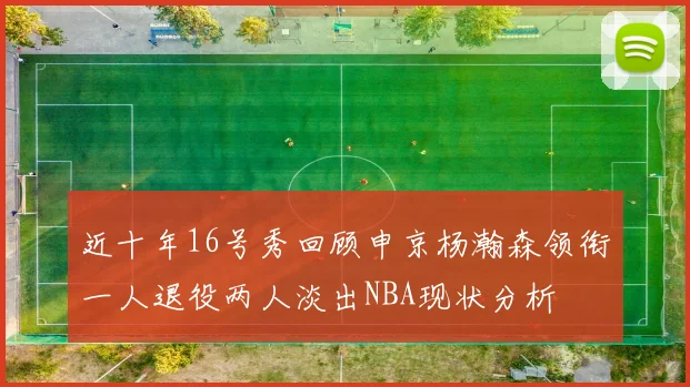 近十年16号秀回顾申京杨瀚森领衔一人退役两人淡出NBA现状分析